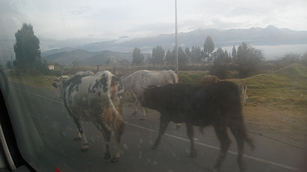 salkentay_trail_hike_007