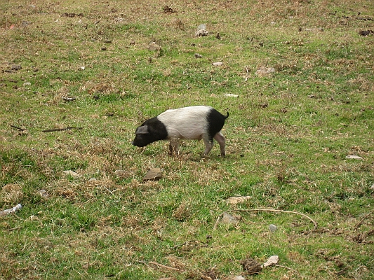 salkentay_trail_hike_046