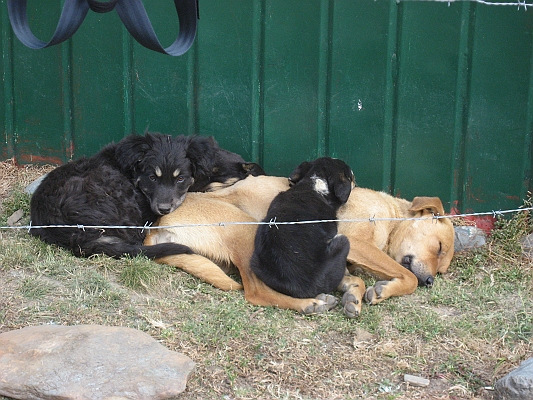 salkentay_trail_hike_088