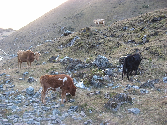 salkentay_trail_hike_098