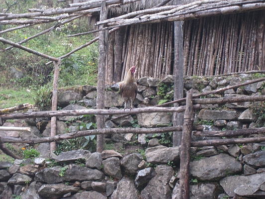 salkentay_trail_hike_180