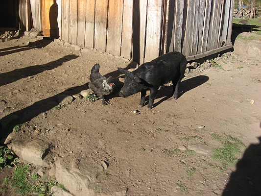 salkentay_trail_hike_193