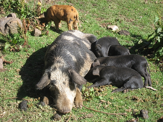 salkentay_trail_hike_201