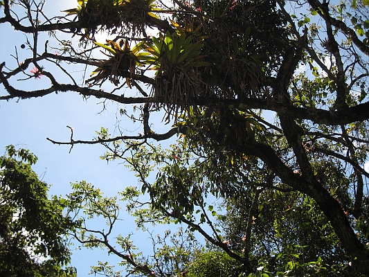 salkentay_trail_hike_247