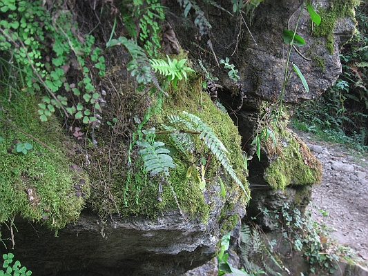 salkentay_trail_hike_259