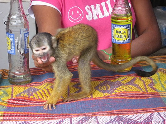 salkentay_trail_hike_284