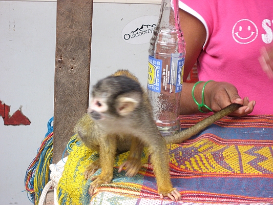 salkentay_trail_hike_285