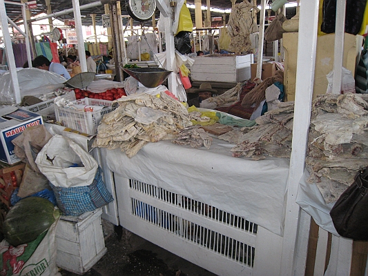 to_Cuzco_prehike_128